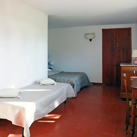 Tara Lecce